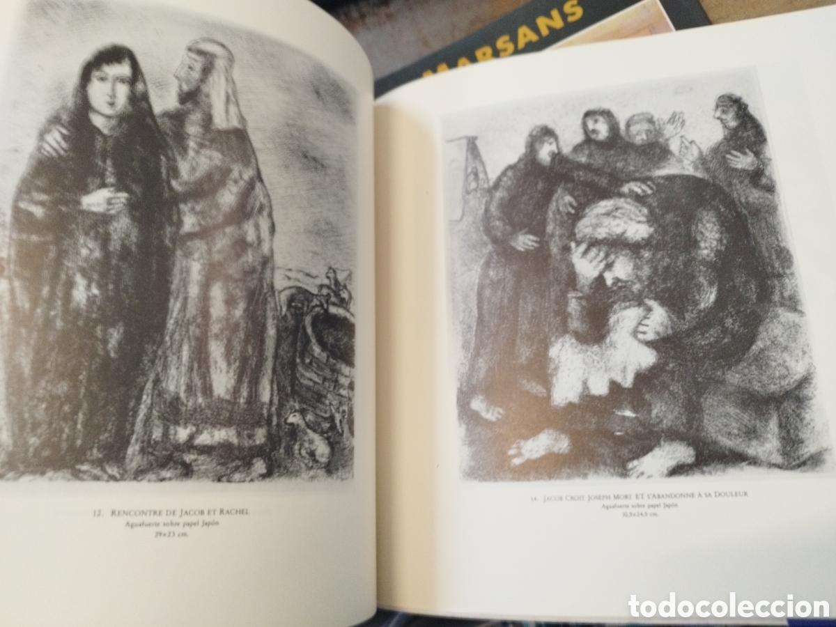 Libros: CHAGALL Y LA BIBLIA - FORESTIER,Sylvie - Foto 4