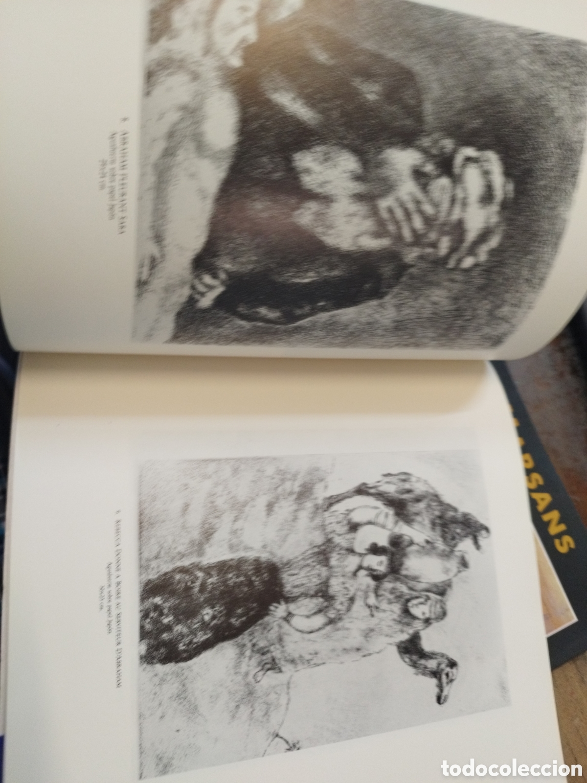 Libros: CHAGALL Y LA BIBLIA - FORESTIER,Sylvie - Foto 5