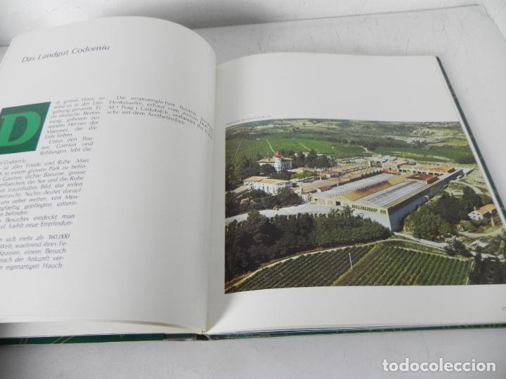 Libros: CODORN&Iacute;U 1551/1872(BILD UND GEGENWART DER CODORNIU) (TEXTO EN ALEM&Aacute;N) - Foto 6