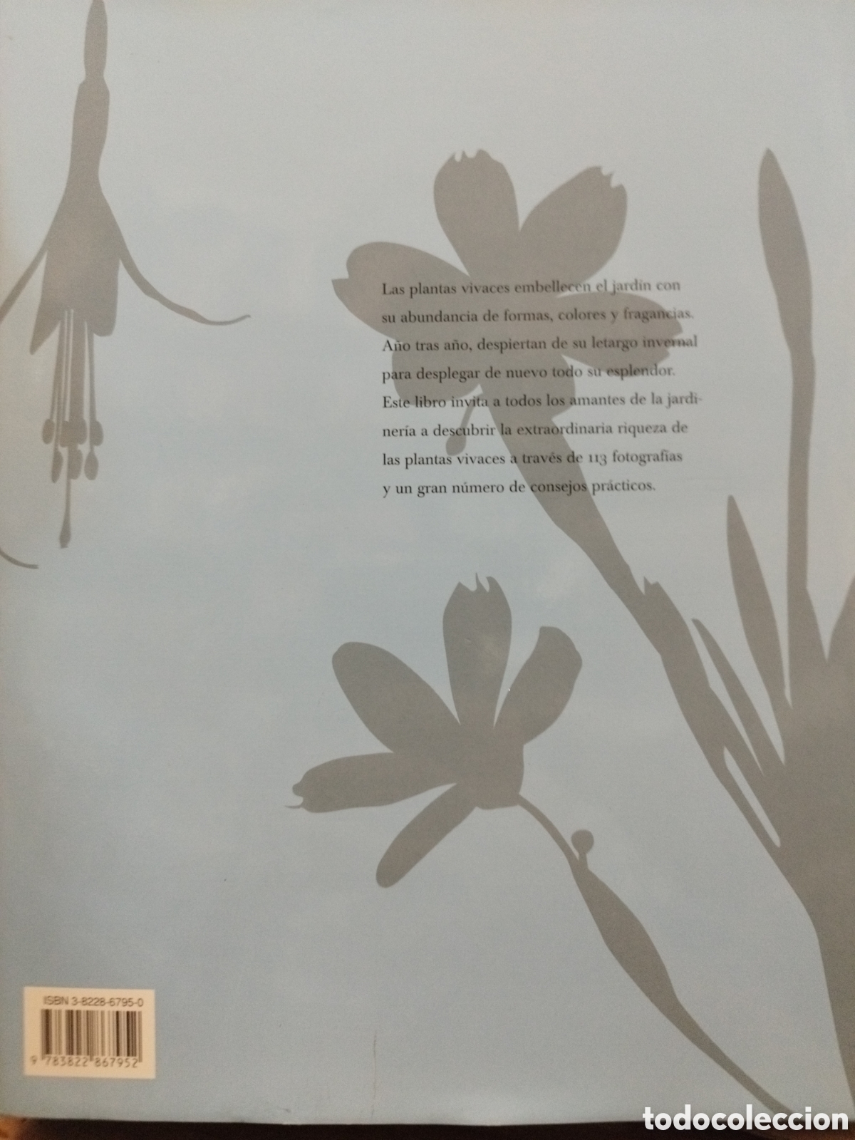 Libros: PLANTAS VIVACES - FERRAUD,Marion - Foto 2