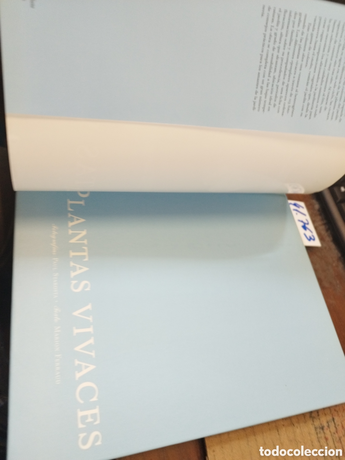 Libros: PLANTAS VIVACES - FERRAUD,Marion - Foto 3