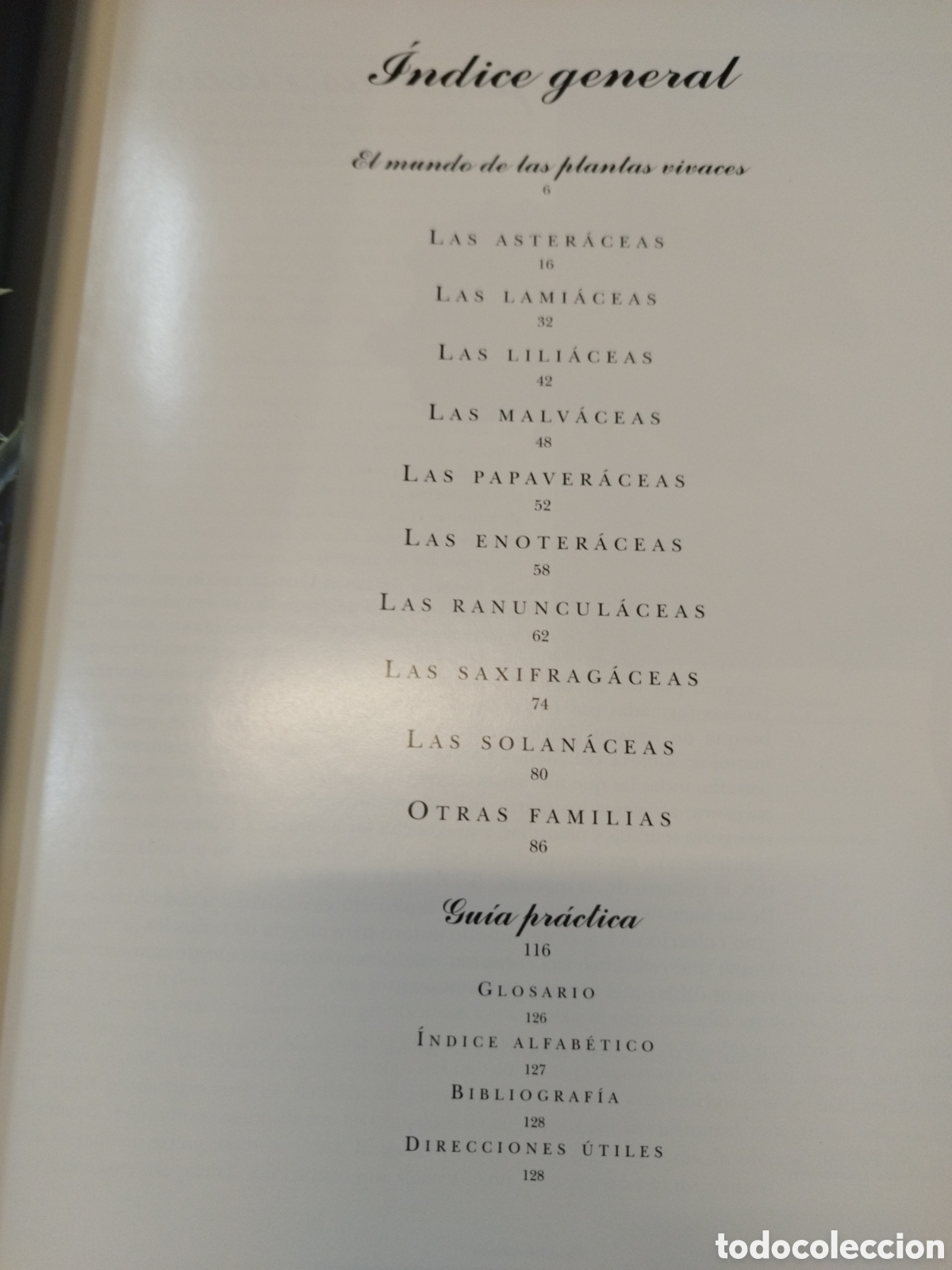Libros: PLANTAS VIVACES - FERRAUD,Marion - Foto 5