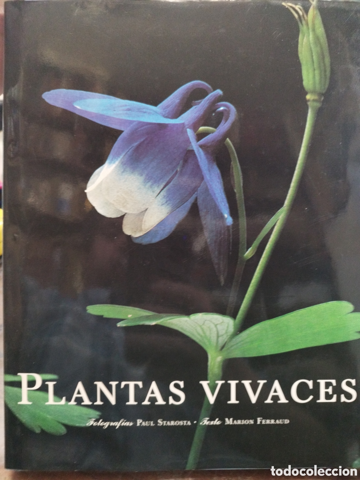 Libros: PLANTAS VIVACES - FERRAUD,Marion - Foto 1