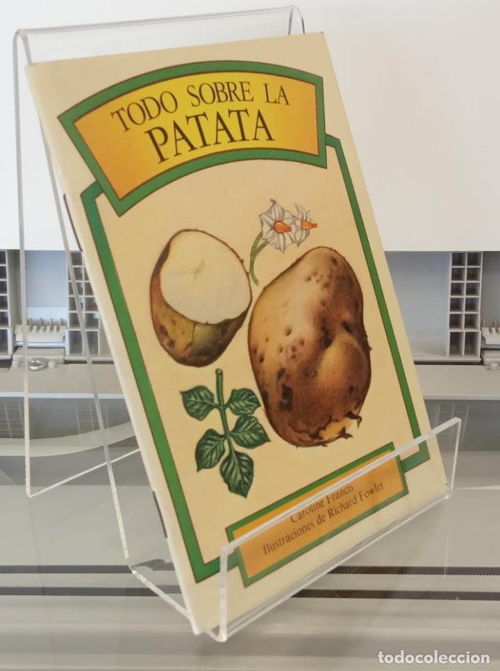 Libros: Todo sobre la patata - Caroline Francis - Foto 1