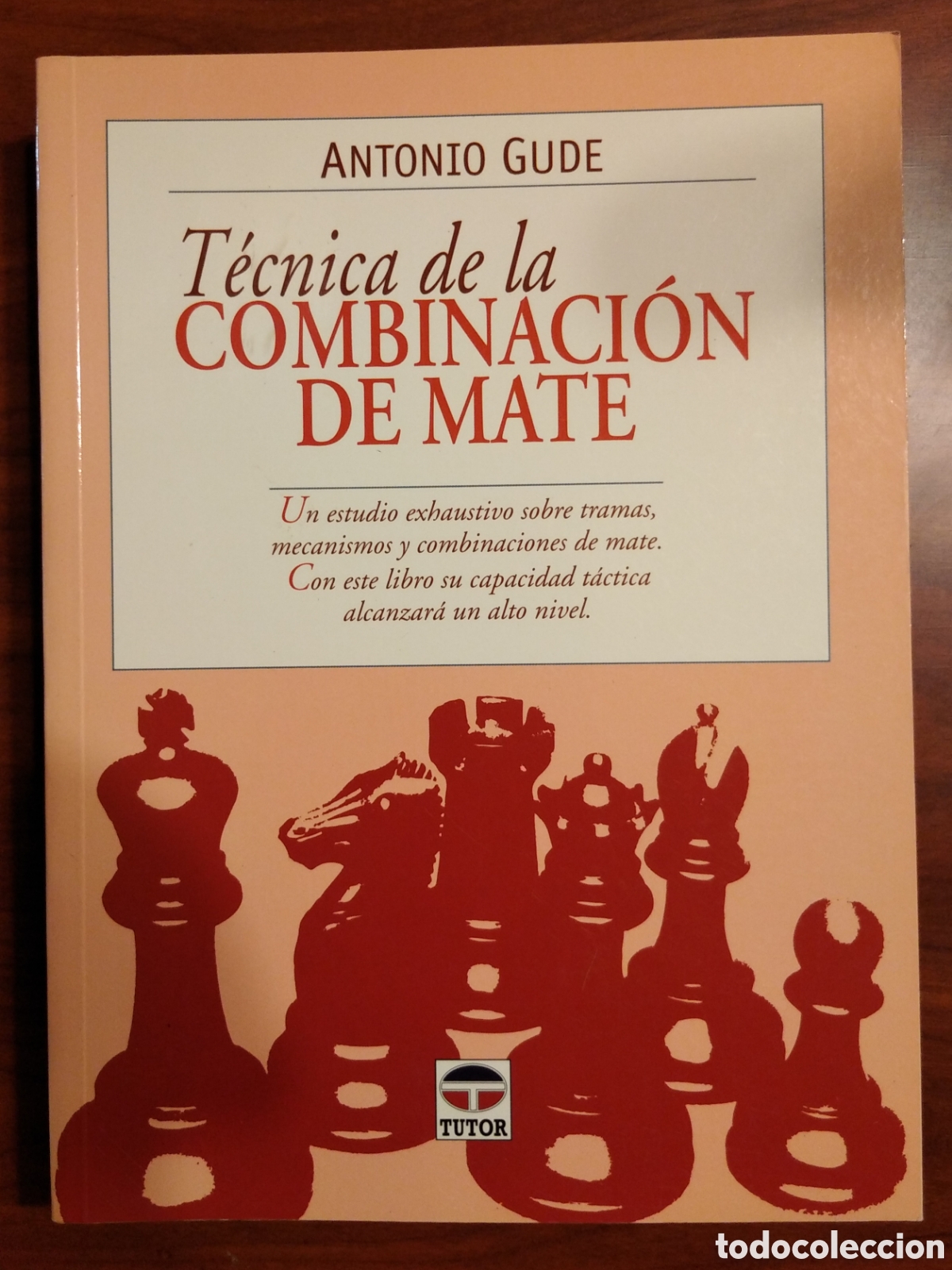 Técnica da Combinação de Mate - Antonio Gude