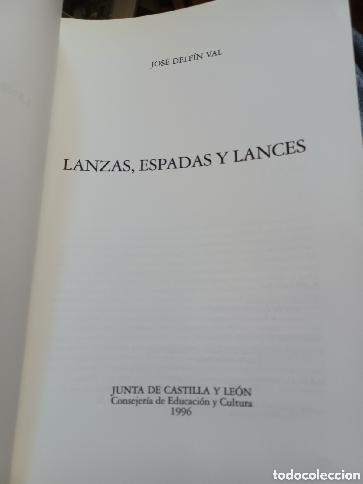 Libros: Barybook 199. Lanzas espadas y lances Jos&eacute; delf&iacute;n Val - Foto 2