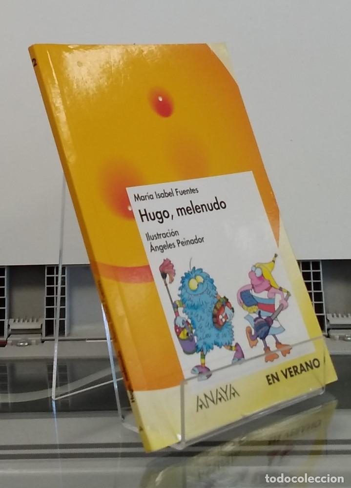 Libros: Hugo, Melenudo - Mar&iacute;a Isabel Fuentes - Foto 1