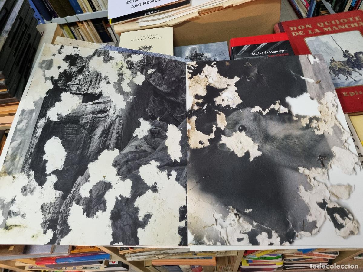 Libros: CUADERNO DE ARTISTA: JOAN FONTCUBERTA - Joan Fontcuberta - Foto 7