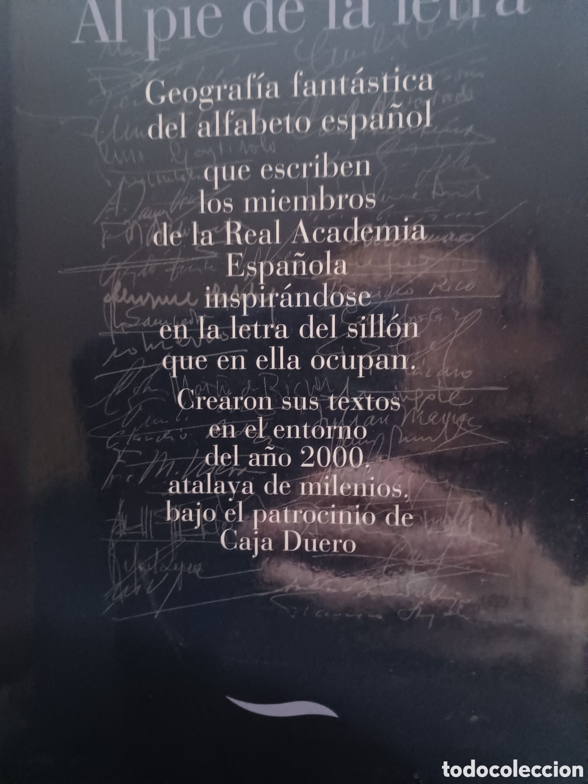 Libri di seconda mano: Barybook 166 Al pie de la letra geograf&iacute;a fant&aacute;stica del alfabeto espa&ntilde;ol que escribe .....