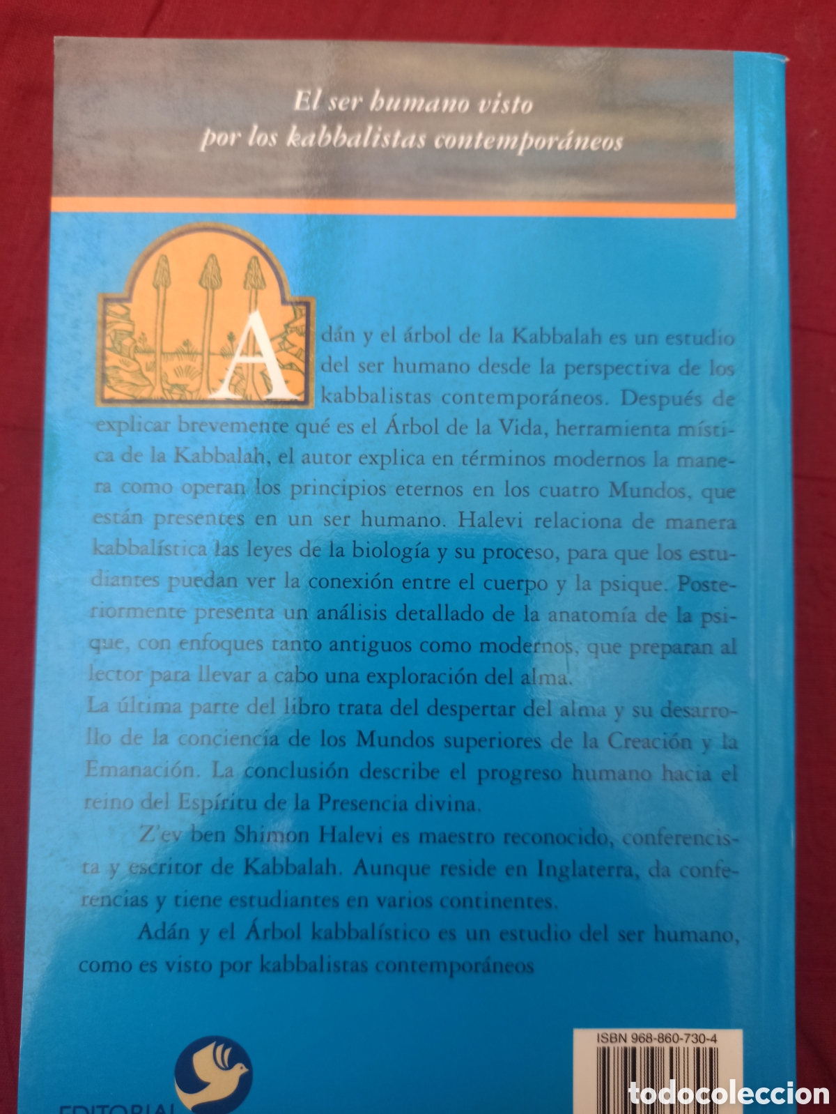 Libros: C&aacute;bala - Ad&aacute;n y el &aacute;rbol de la k&aacute;bbalah - Foto 2