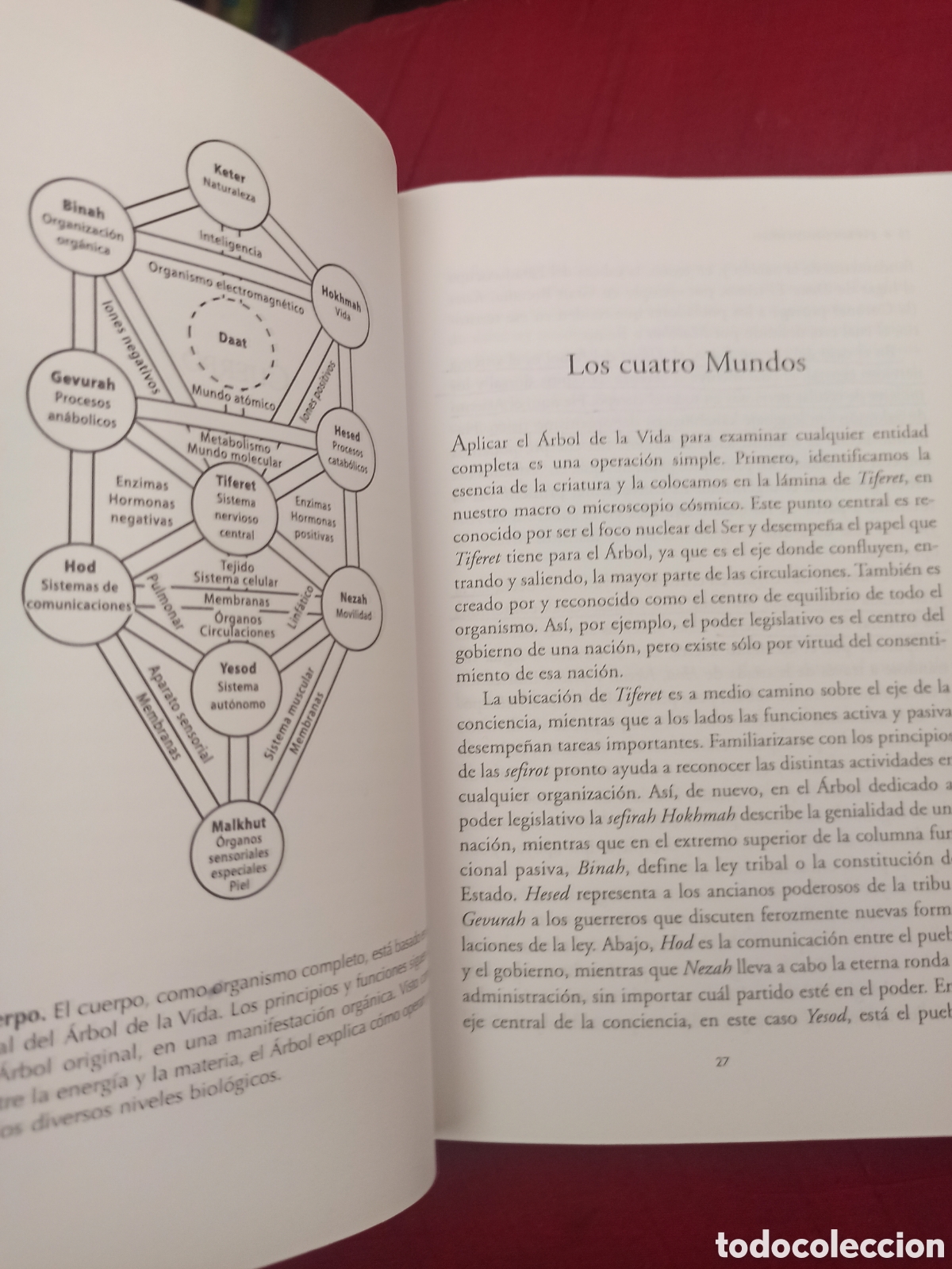 Libros: C&aacute;bala - Ad&aacute;n y el &aacute;rbol de la k&aacute;bbalah - Foto 3