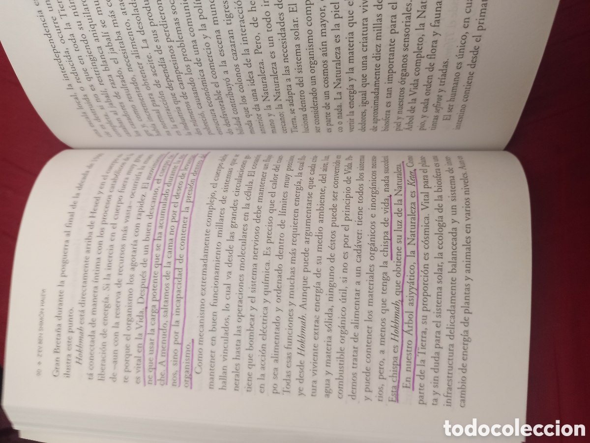 Libros: C&aacute;bala - Ad&aacute;n y el &aacute;rbol de la k&aacute;bbalah - Foto 4