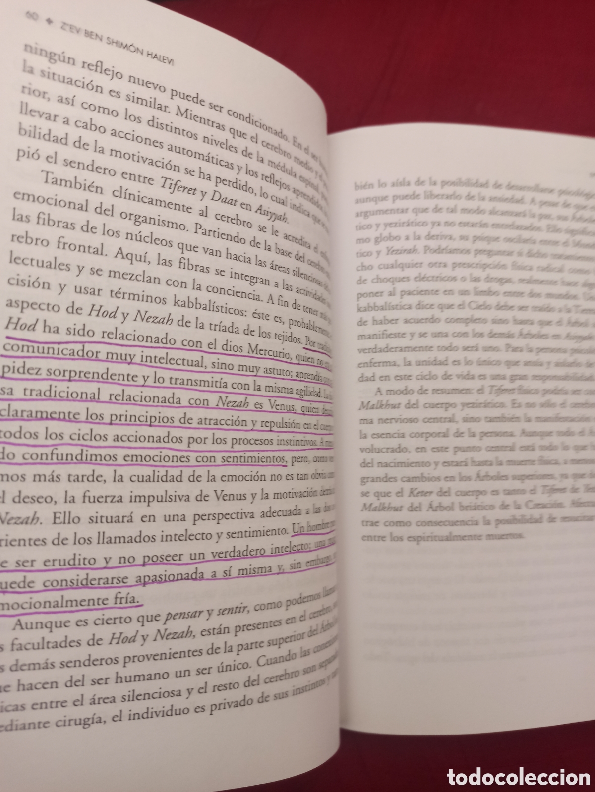 Libros: C&aacute;bala - Ad&aacute;n y el &aacute;rbol de la k&aacute;bbalah - Foto 5