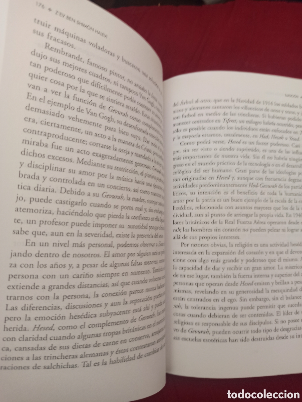 Libros: C&aacute;bala - Ad&aacute;n y el &aacute;rbol de la k&aacute;bbalah - Foto 6