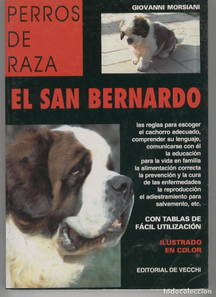 Libros: EL SAN BERNARDO.Perros de raza.Con tablas de facil Morsiani,Giovanni- EDITORIAL: De Vecchi - - Foto 1