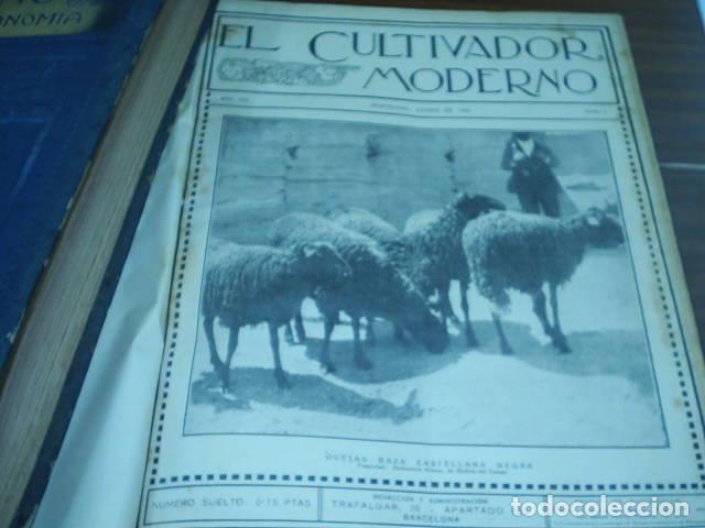 books: EL CULTIVADOR MODERNO.Agricultura-economia. A&ntilde;o Revista agricultura- EDITORIAL: - Revista agr