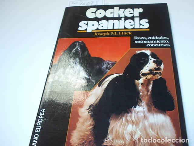 Libros: COCKER SPANIELS. RAZA, CUIDADOS, ENTRENAMIENTO, CONCURSOS Hack, Joseph M.- EDITORIAL: Hispano Europe - Foto 1