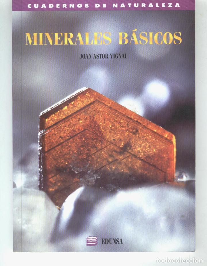 Libros: MINERALES B&Aacute;SICOS Astor Vignao, Joan- EDITORIAL: Edunsa - Astor Vignao, Joan- - Foto 1