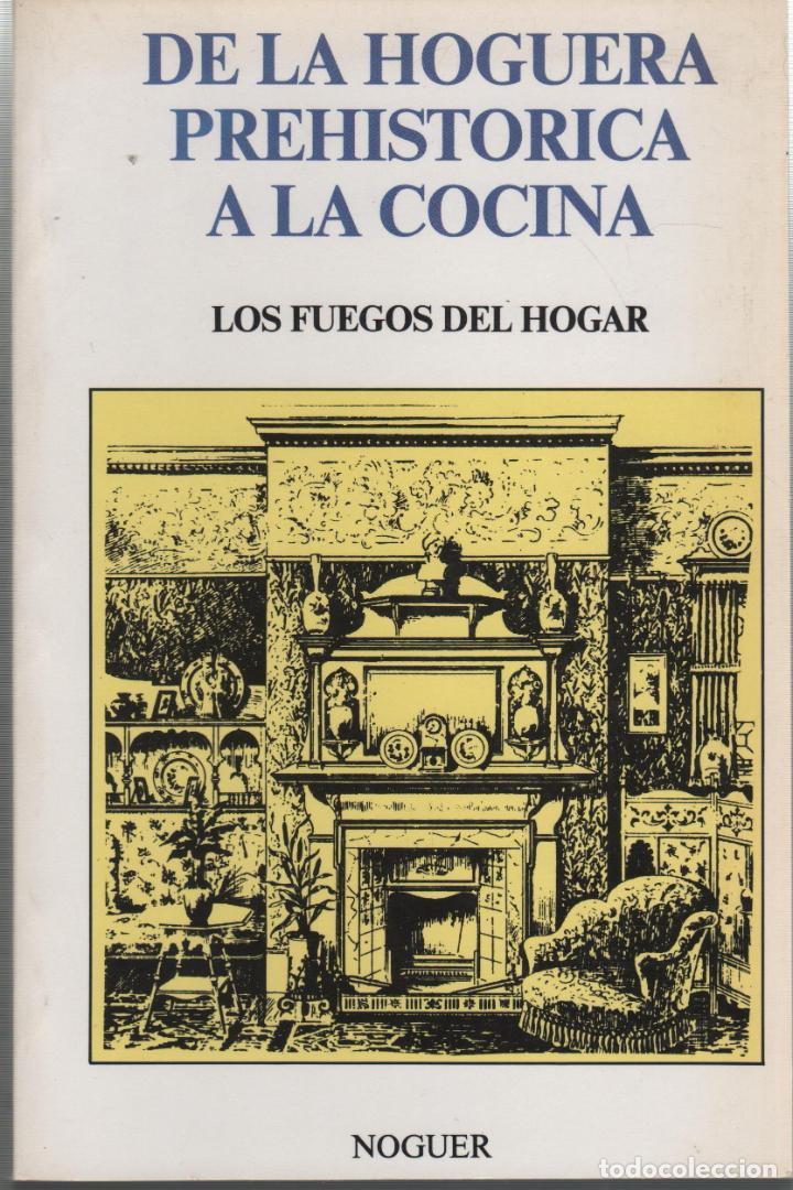 Libros: LOS FUEGOS DEL HOGAR Wright, Lawrence- EDITORIAL: Editorial Noguer, S.A. - Wright, Lawrence- - Foto 2