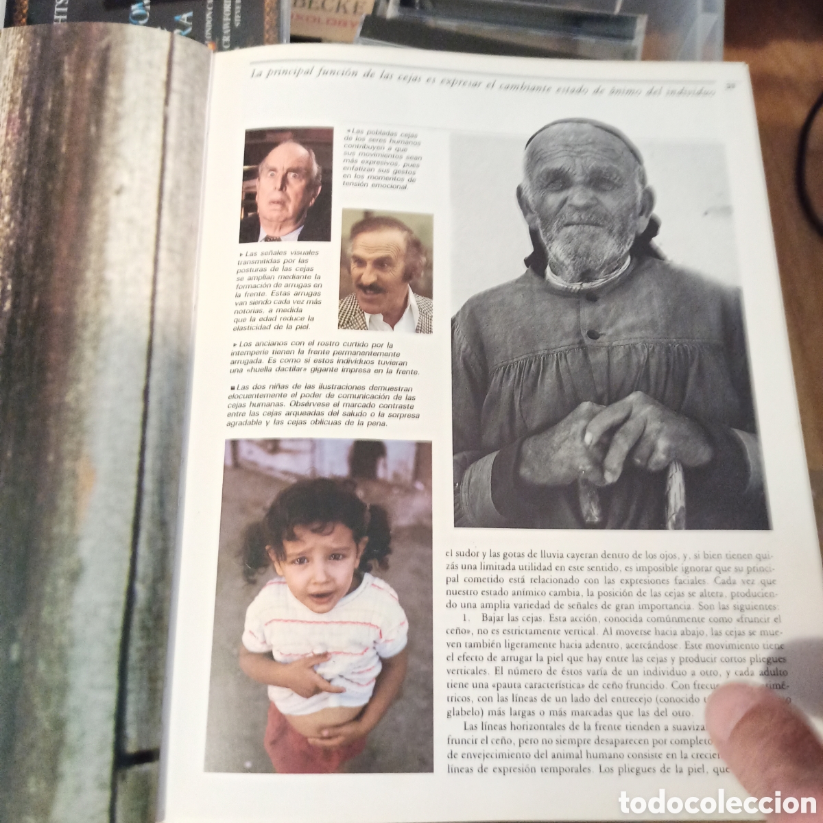 Libros: Desmond Morris - El Cuerpo al Desnudo - Foto 3