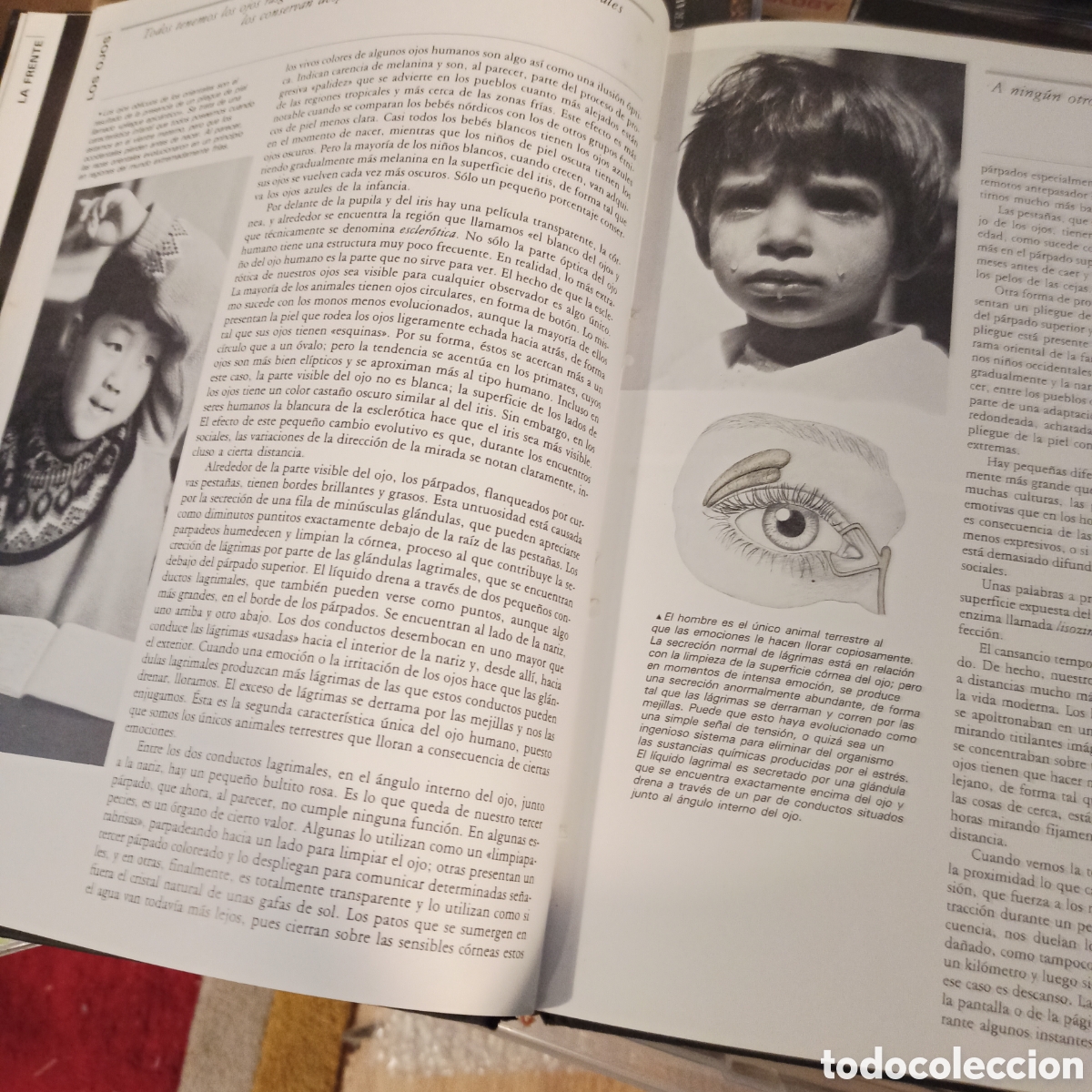 Libros: Desmond Morris - El Cuerpo al Desnudo - Foto 4