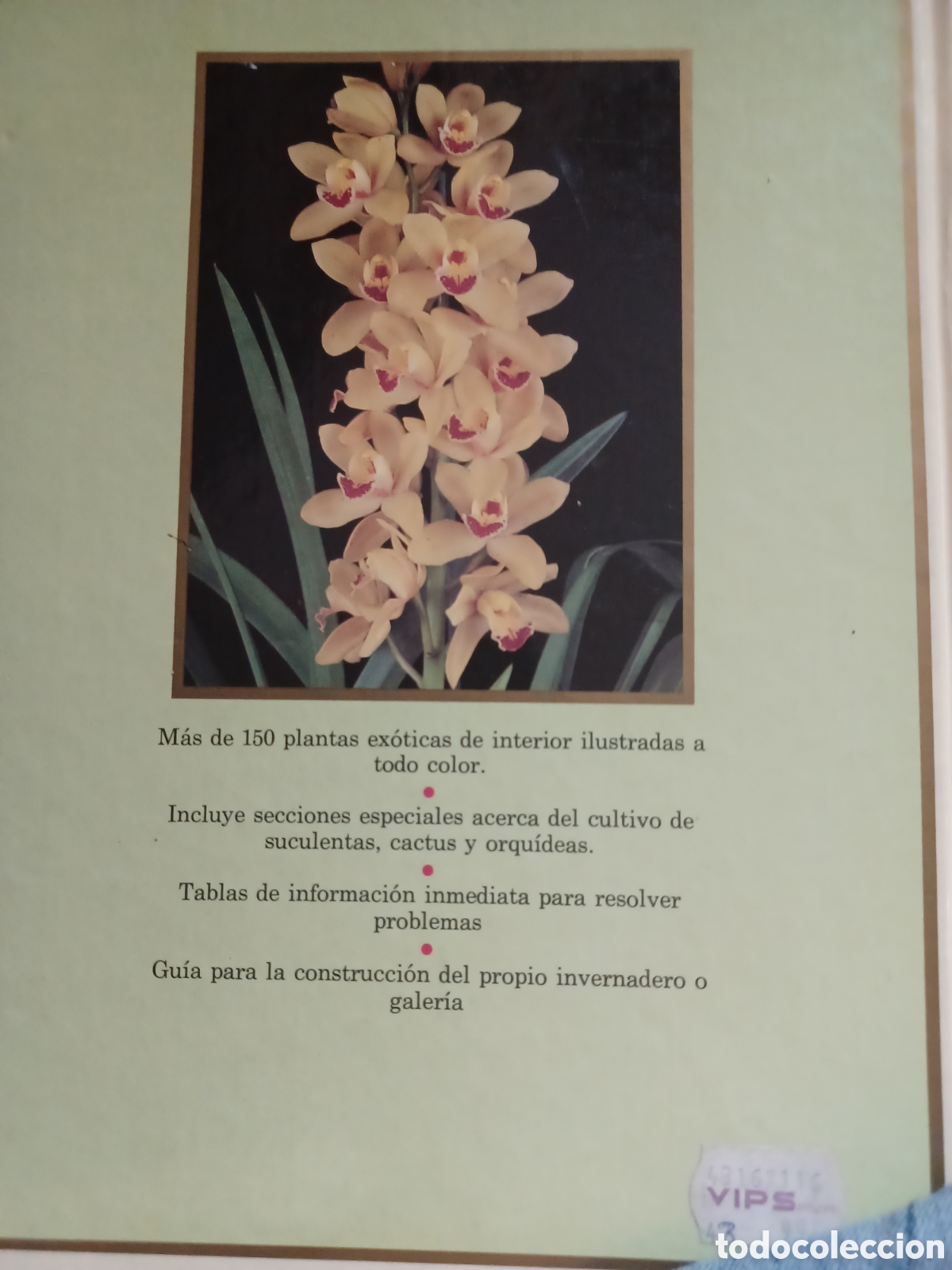 Libros: Barybook 140. plantas de Interior herm&aacute;nn Blume - Foto 2