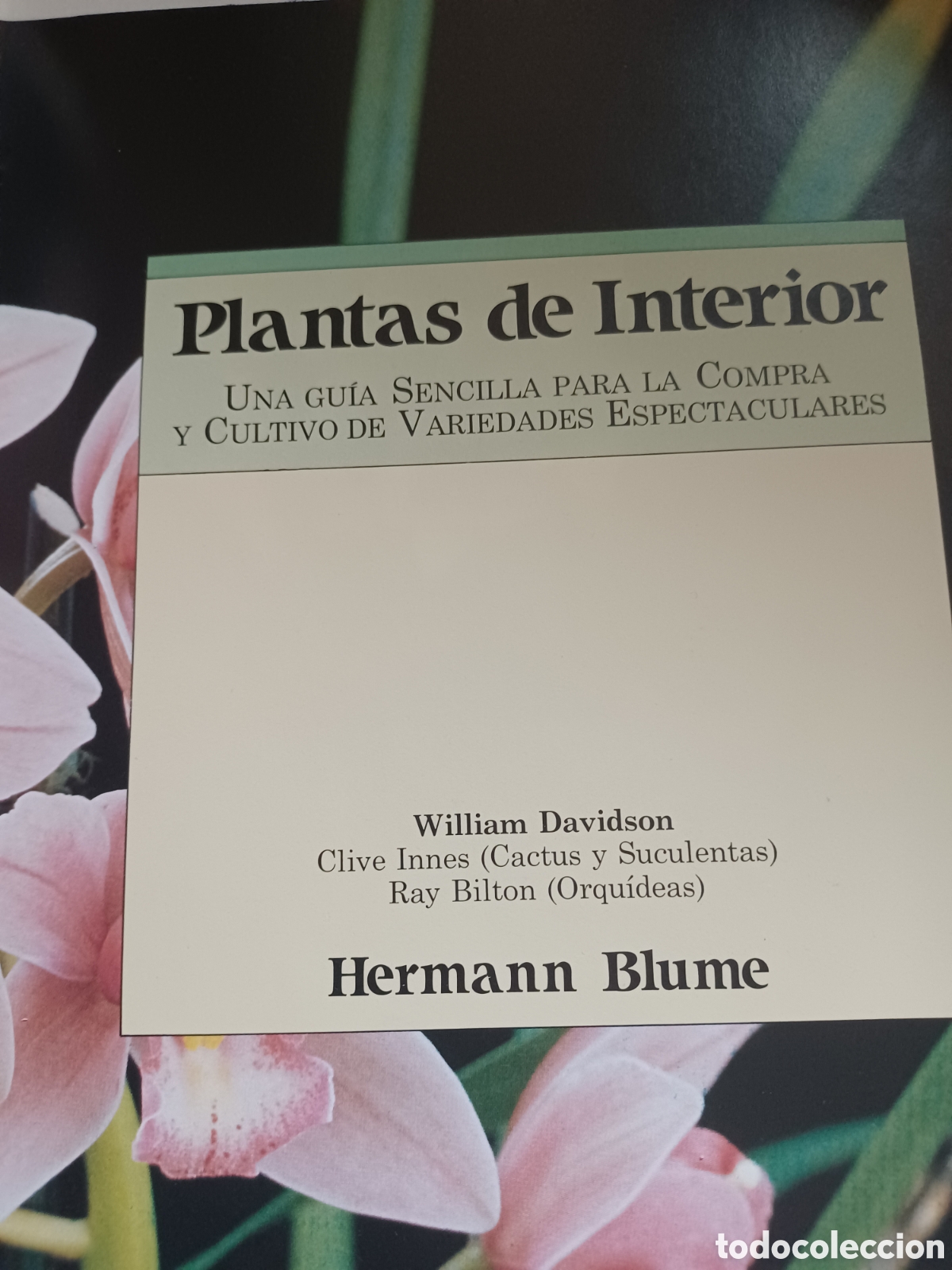 Libros: Barybook 140. plantas de Interior herm&aacute;nn Blume - Foto 3