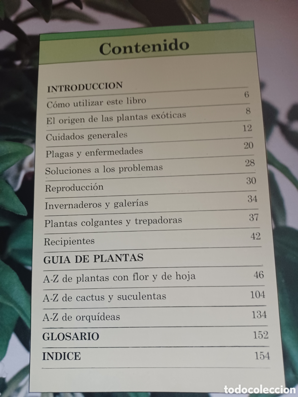 Libros: Barybook 140. plantas de Interior herm&aacute;nn Blume - Foto 4
