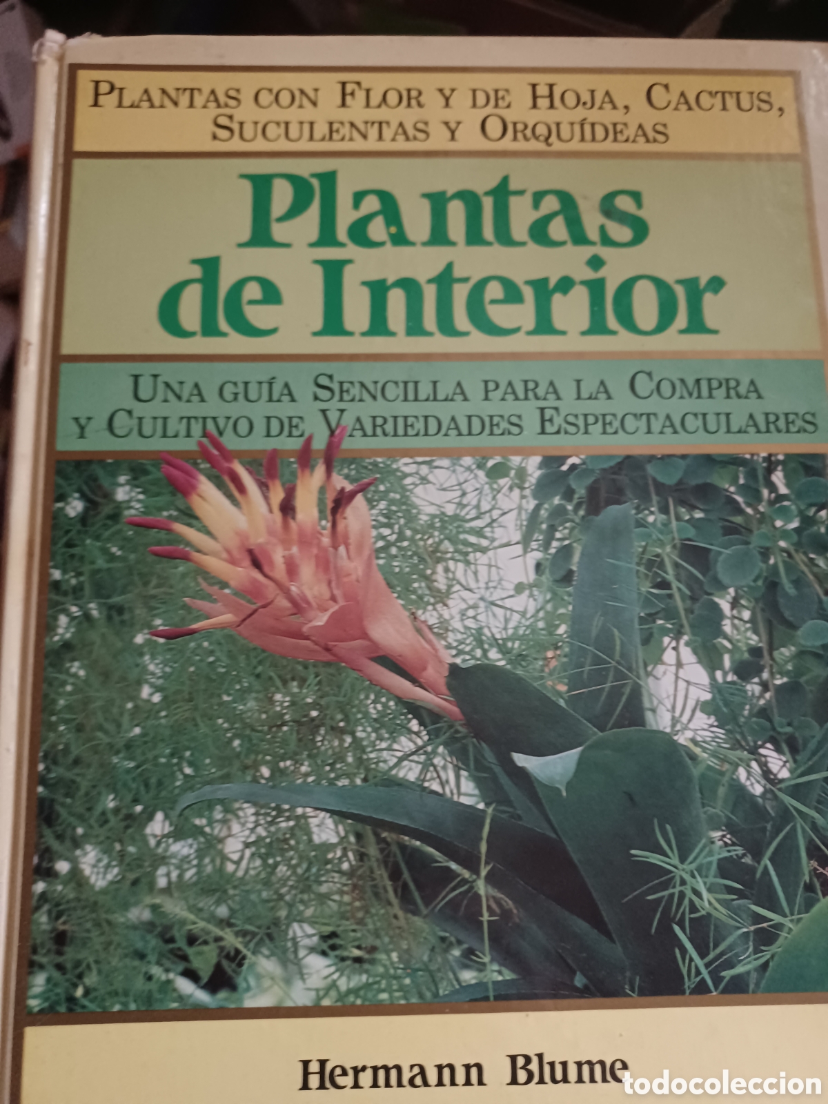 Libros: Barybook 140. plantas de Interior herm&aacute;nn Blume - Foto 1