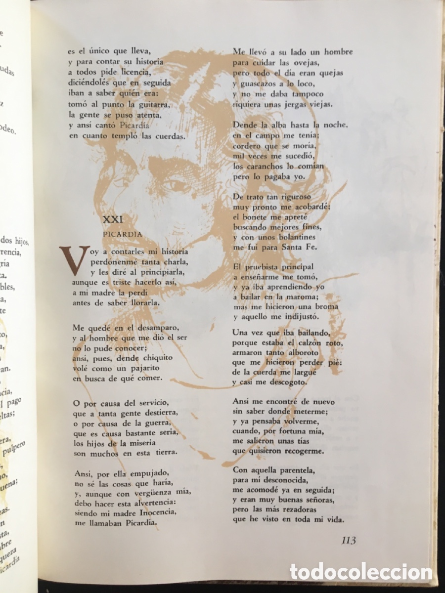 Libros: Mart&iacute;n Fierro - Foto 4