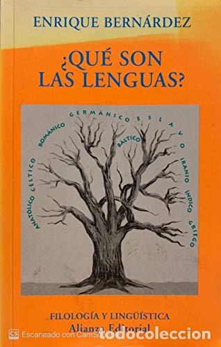 Libros: &iquest;QU&Eacute; SON LAS LENGUAS? - Bern&aacute;rdez,Enrique - Foto 1