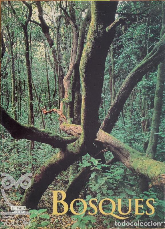 Libros: Bosques - Juanjo Alonso - Foto 1