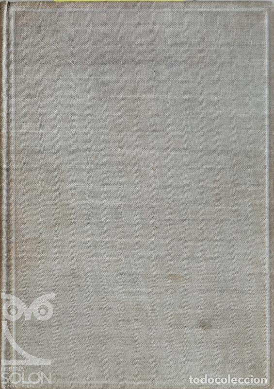 Libros: Dios le ampare, imb&eacute;cil - &Aacute;lvaro de Laiglesia - Foto 1