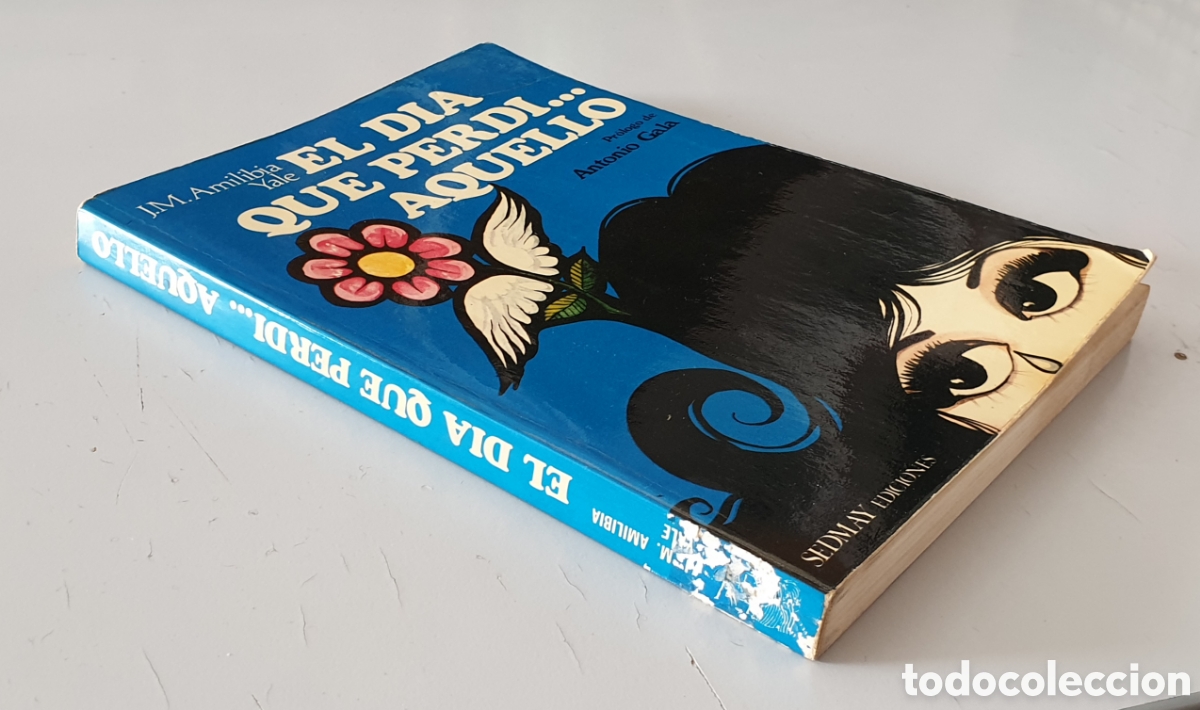 Libros: LIBRO EL DIA QUE PERDI AQUELLO (Sedmay Ediciones, 1976) - Foto 2