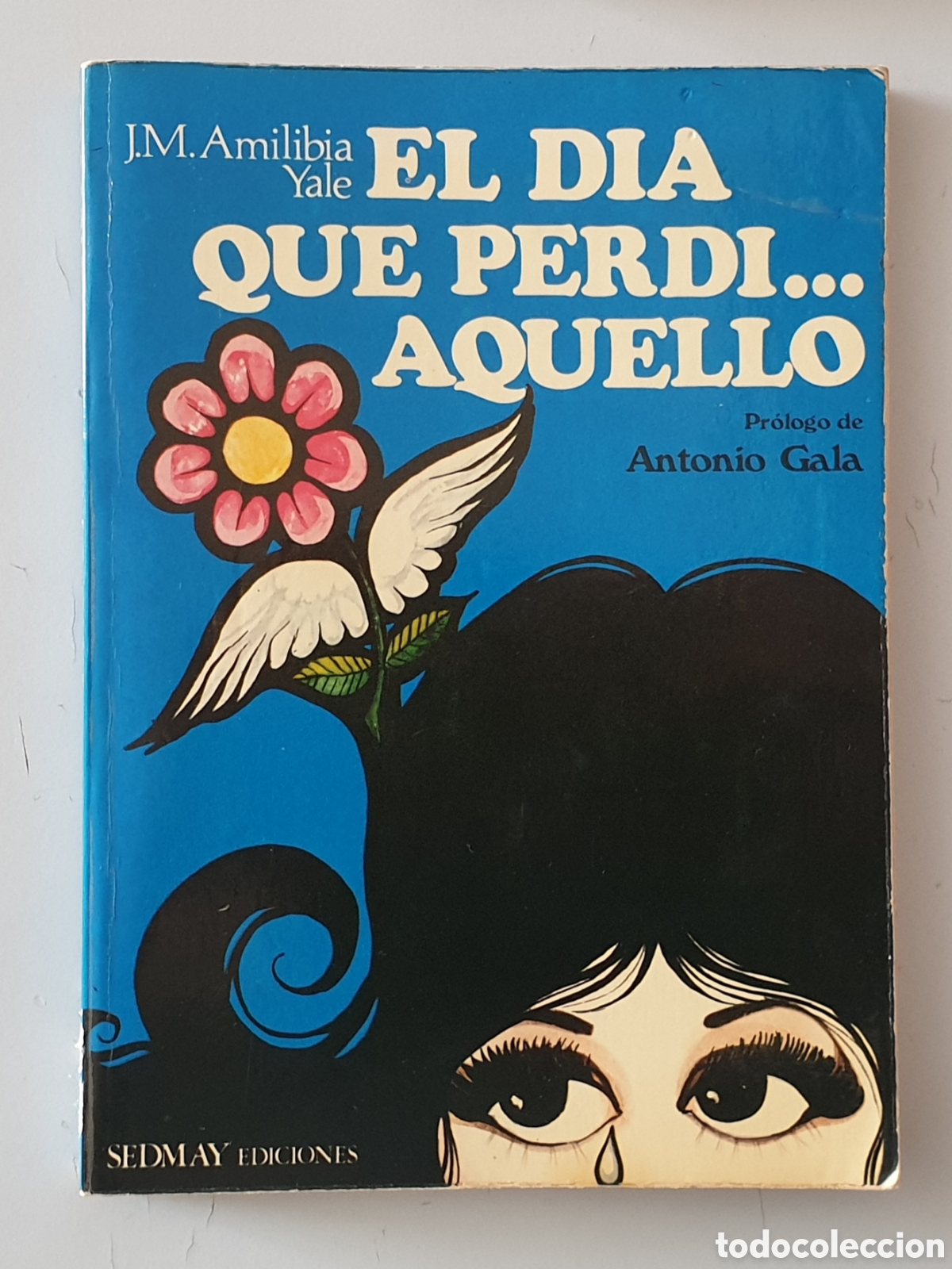 Libros: LIBRO EL DIA QUE PERDI AQUELLO (Sedmay Ediciones, 1976) - Foto 1