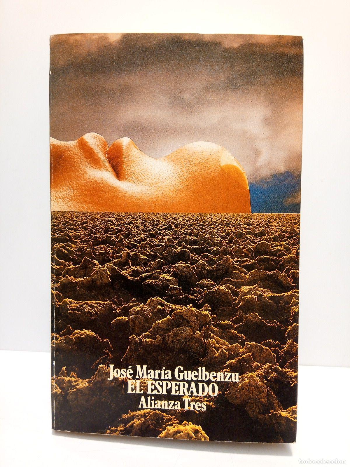 Libros: GUELBENZU, Jos&eacute; Mar&iacute;a - El esperado - Foto 1