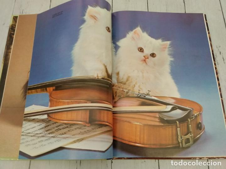 Libros: Gu&iacute;a en color de los gatos - Angela Sayer - Foto 2