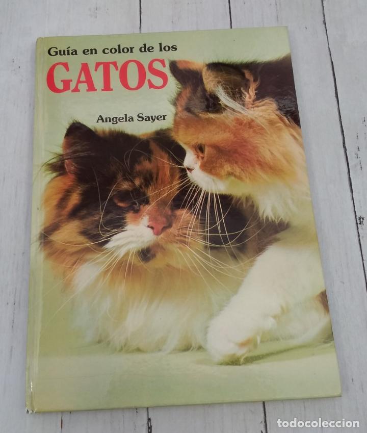 Libros: Gu&iacute;a en color de los gatos - Angela Sayer - Foto 1