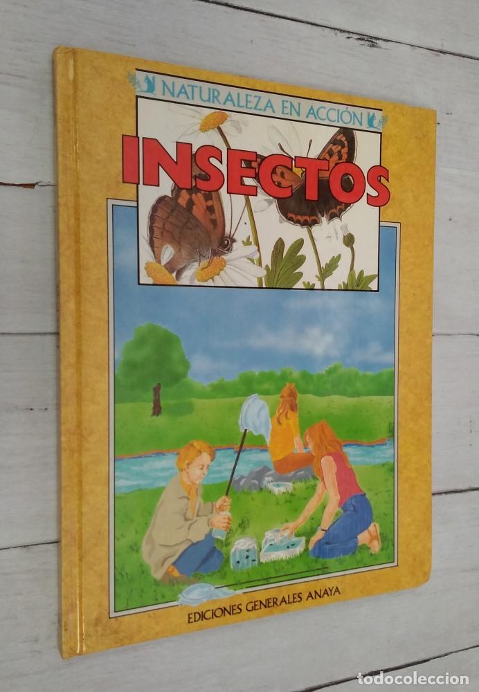 Libros: Insectos - Joyce Pope - Foto 1