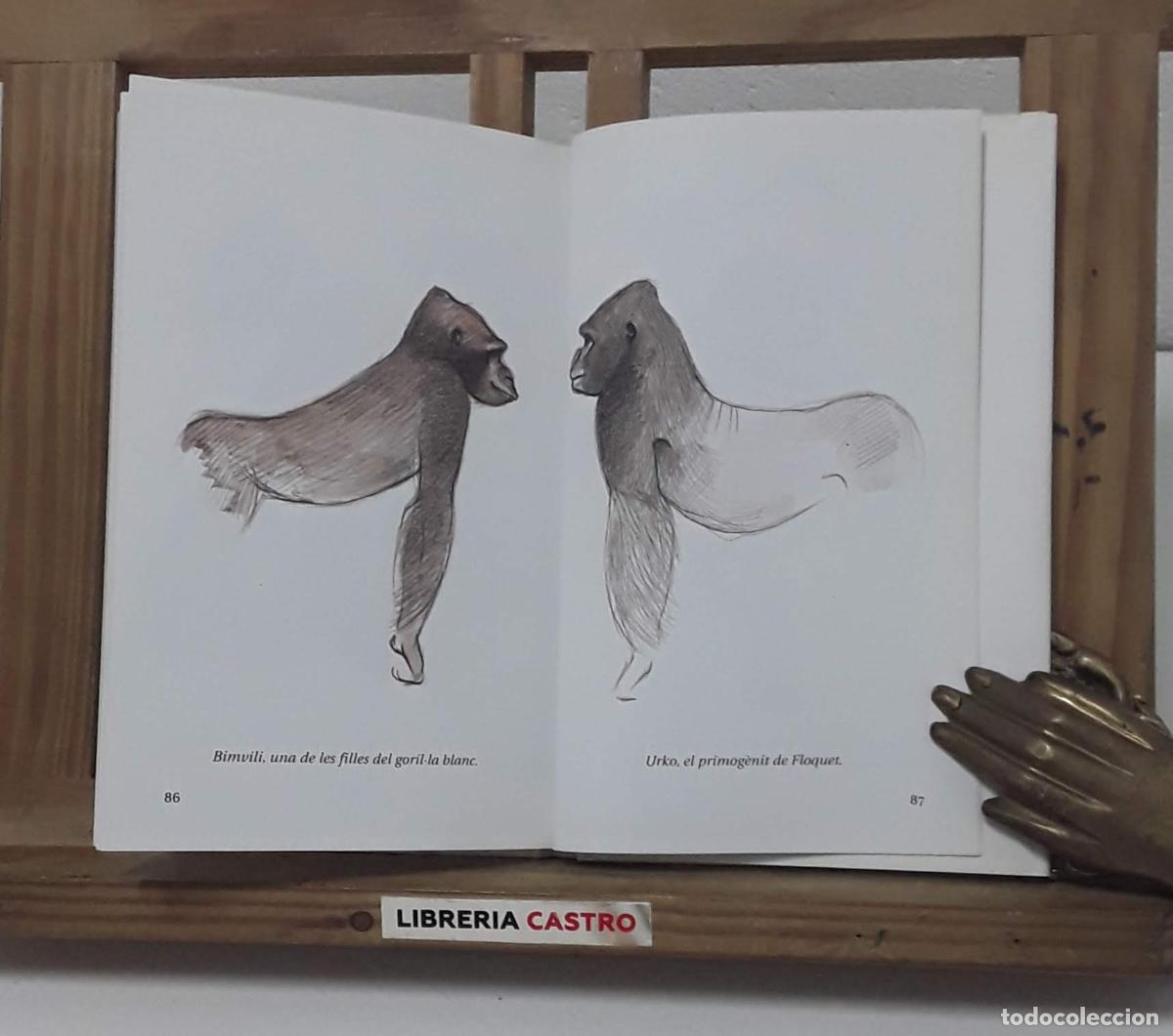 Libros: Floquet per sempre - Jordi Sabater Pi - Foto 2