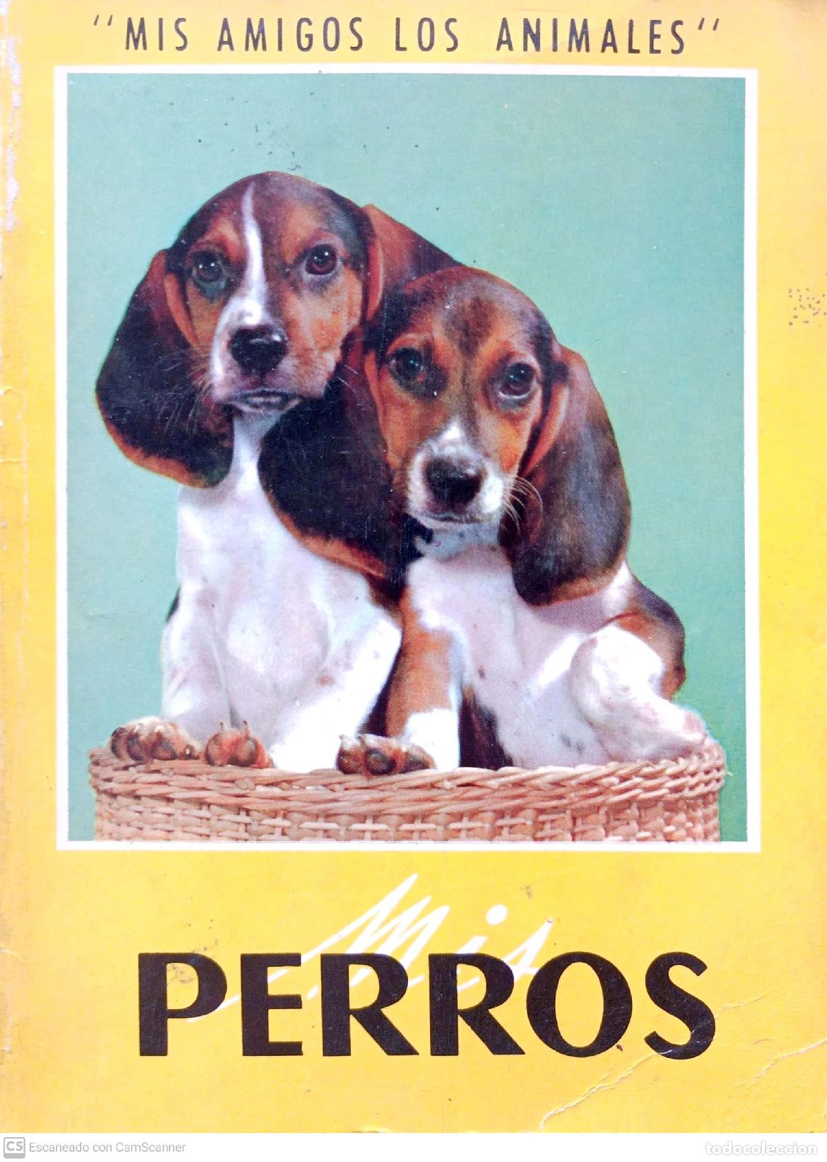 Libros: perros - Foto 1