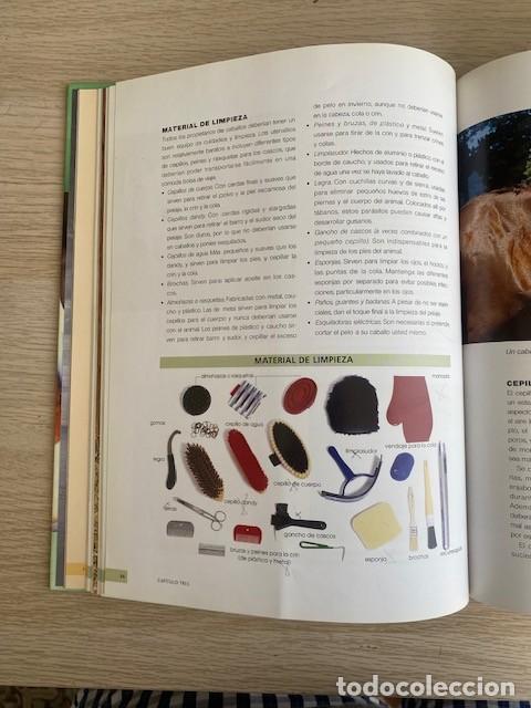 Libros: MANUAL PARA EL CUIDADO DEL CABALLO - Foto 2