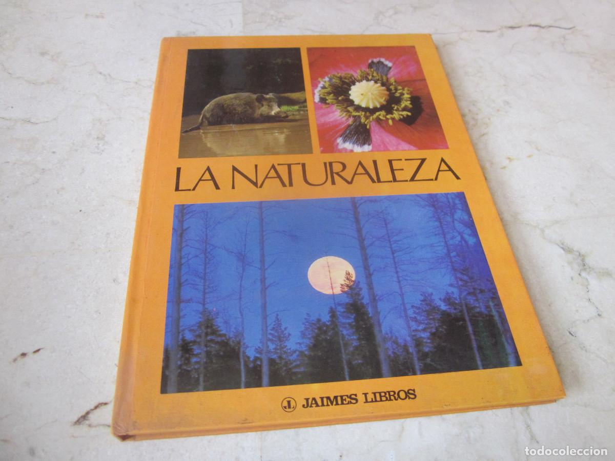 Libros: MAX A. WYSS - LA NATURALEZA - JAIMES LIBROS 1977 - Foto 1