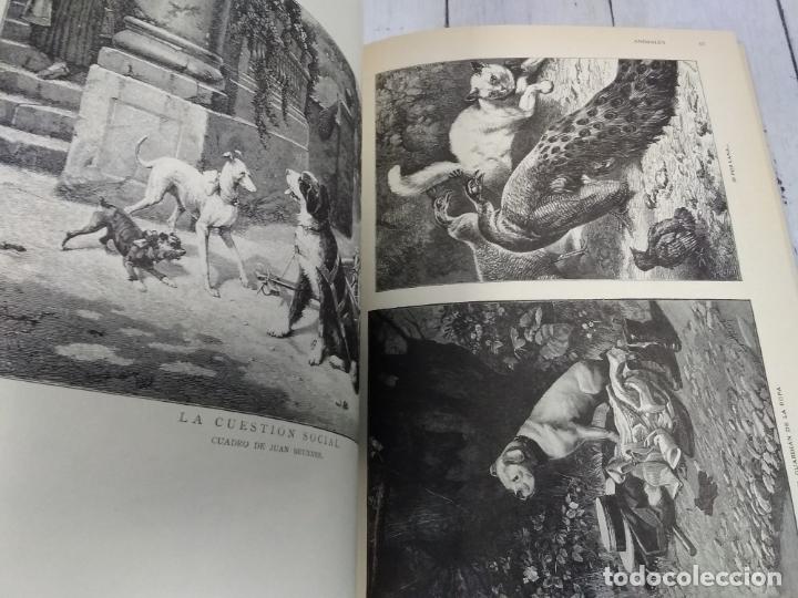 Libros: Animales - Luis Bastarrica - Foto 2