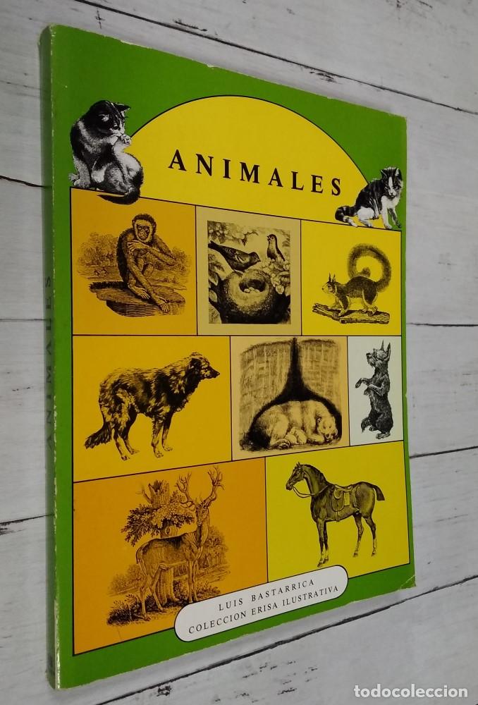 Libros: Animales - Luis Bastarrica - Foto 1