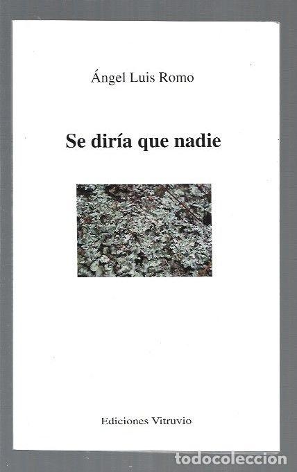 Libros: SE DIRIA QUE NADIE - ROMO, ANGEL LUIS - Foto 1