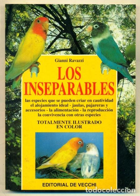 Libros: LOS INSEPARABLES - Ravazzi,Gianni - Foto 1