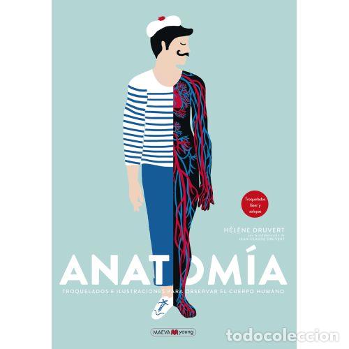 Libros: ANATOM&Iacute;A - DRUVERT, H&Eacute;L&Egrave;NE - Foto 1