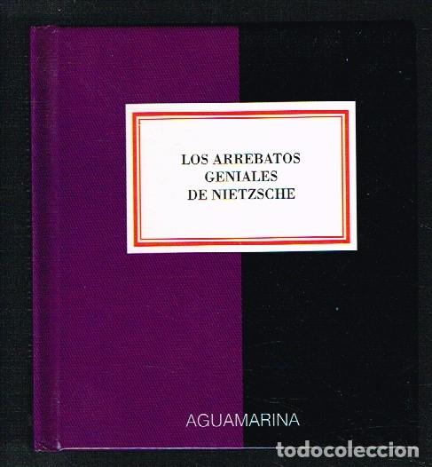 Libros: LOS ARREBATOS GENIALES DE NIETZSCHE - 1994 - Foto 1
