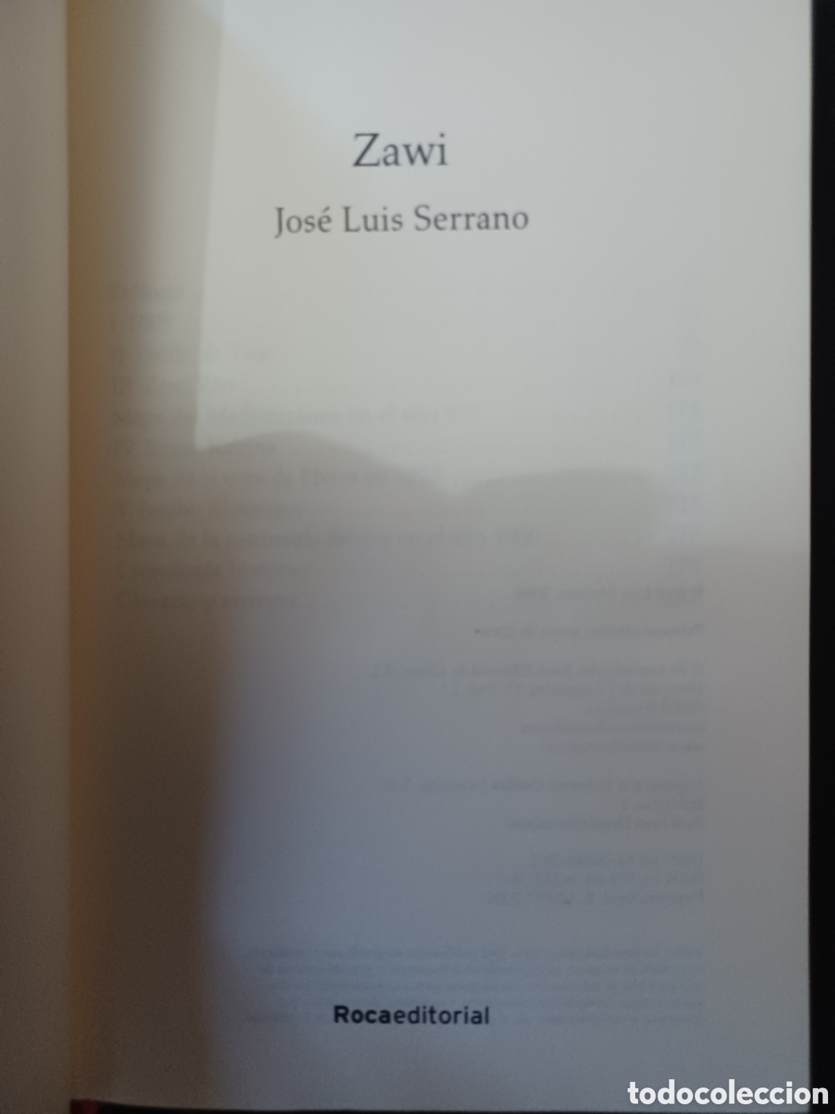 Libros: Barybook 309. Zawi Jos&eacute; Luis Serrano - Foto 2